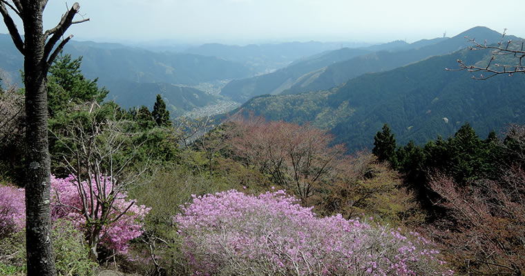 A view from Mt.Mitake