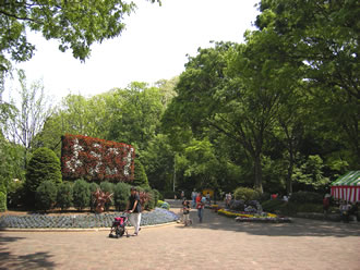 Kawaguchi Green Center Entrance
