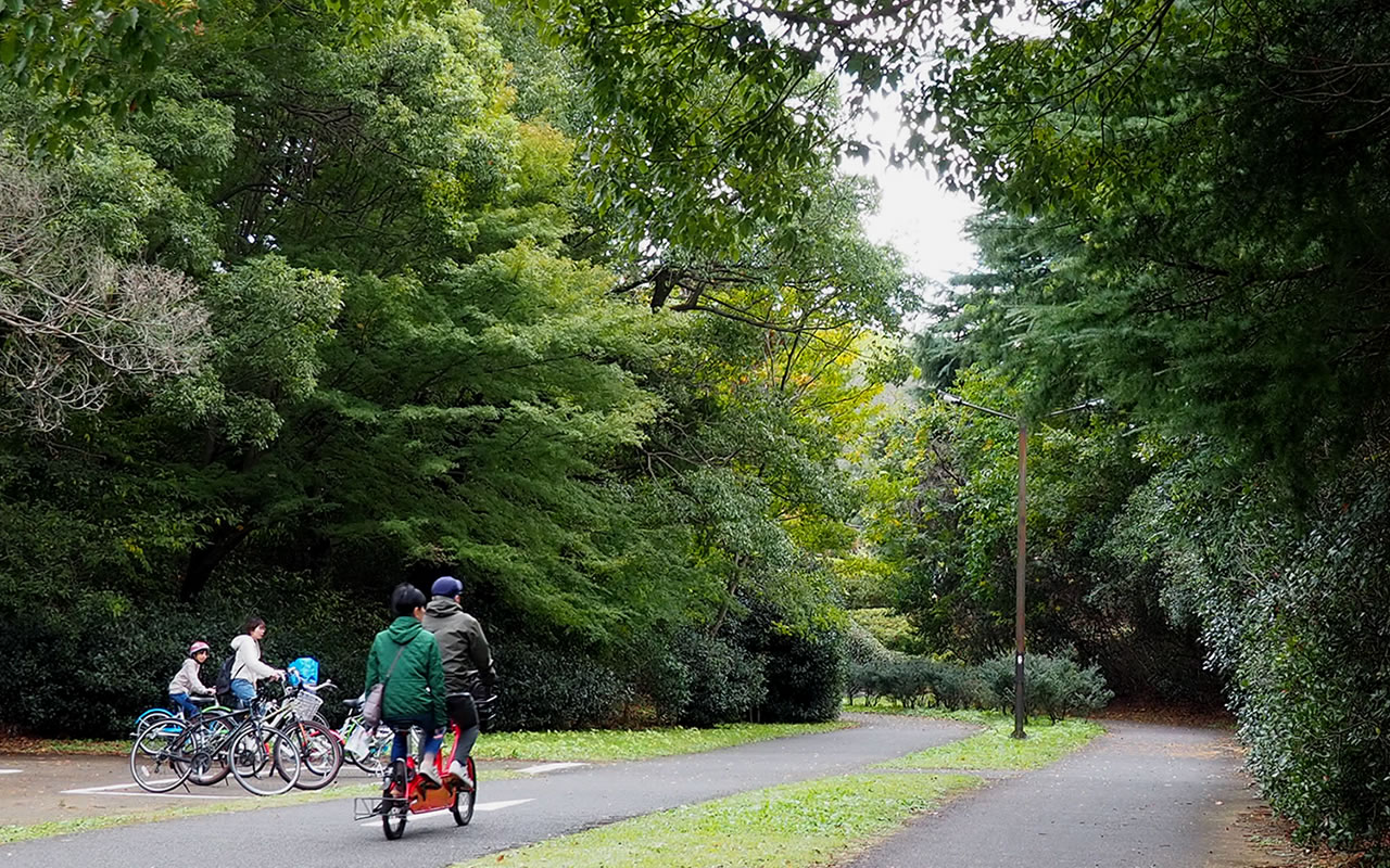 Showa-kinen Park