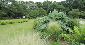Jindai Botanical Gardens