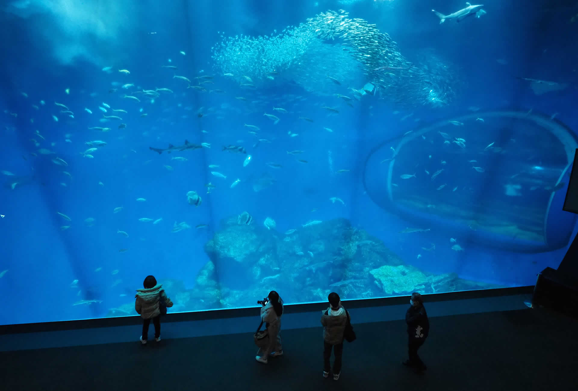 Aquaworld Oarai