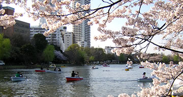 Ueno Shinobazu Pond